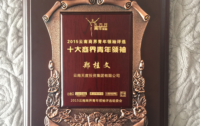 在“互聯(lián)網(wǎng)大時(shí)代”的背景下，天度作為本土很大和很有名的互聯(lián)網(wǎng)服務(wù)企業(yè)，為近萬家傳統(tǒng)企業(yè)轉(zhuǎn)型互聯(lián)網(wǎng)+提供了服務(wù)和幫助，獲此獎(jiǎng)項(xiàng)后，我們將再接再厲，創(chuàng)造更高的社會(huì)價(jià)值